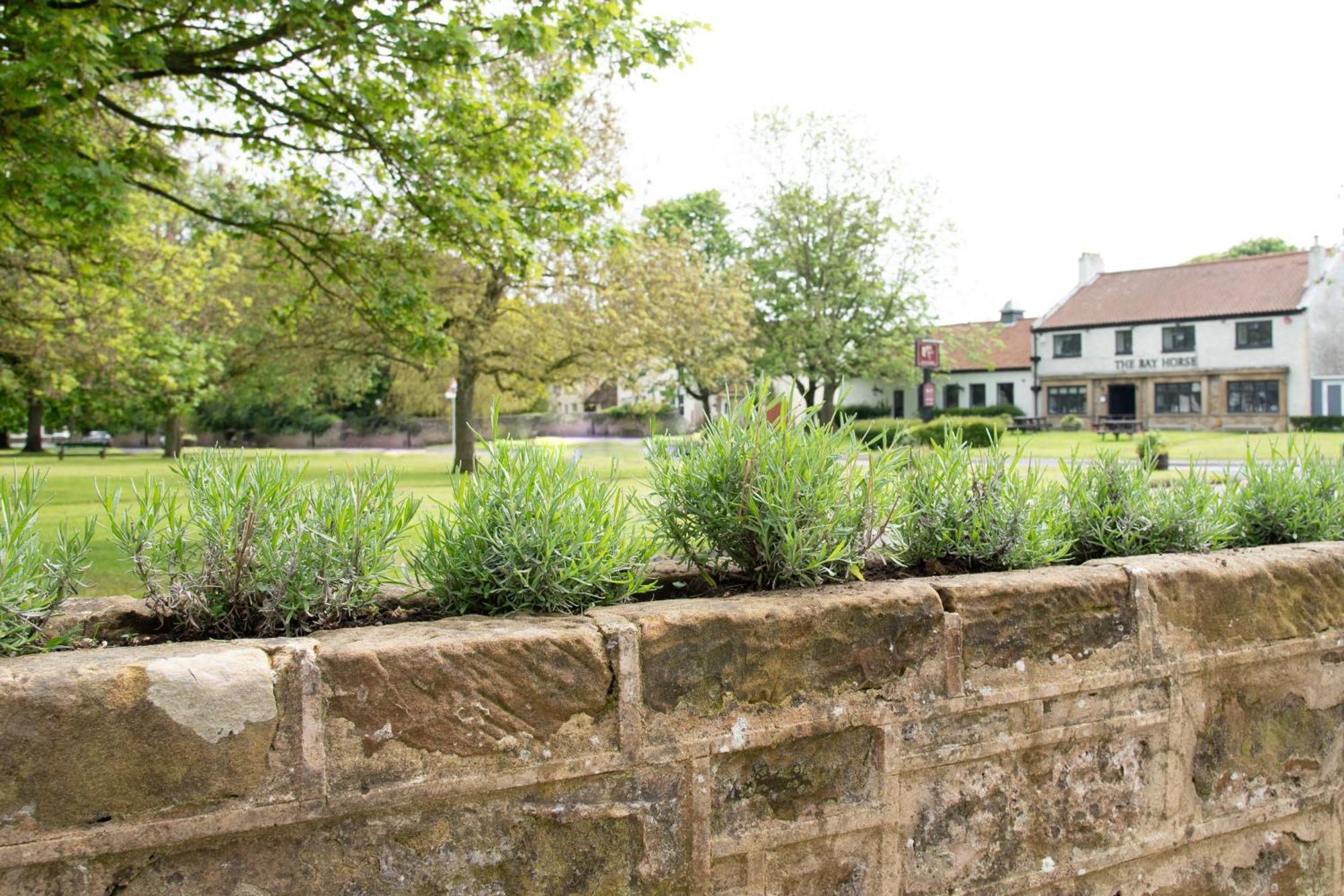 Work And Relax - Fast Wifi, Fireplace & Near Pub Newton Aycliffe Zewnętrze zdjęcie